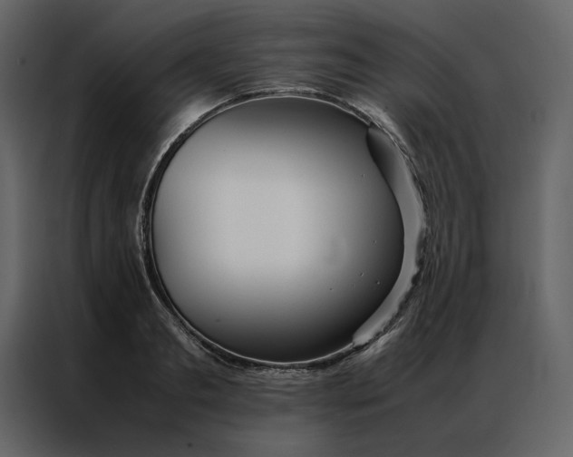 X0000086990893200705071434