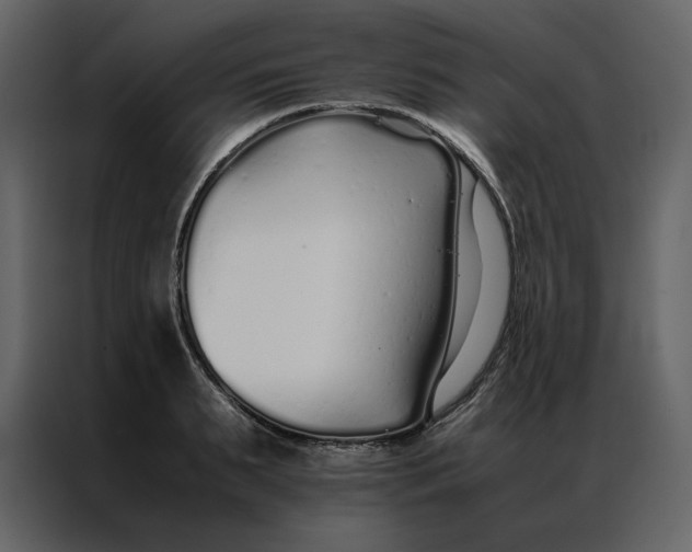 X0000086990895200705071434