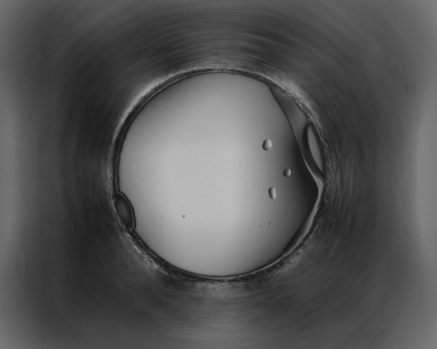 X0000086990896200705071434