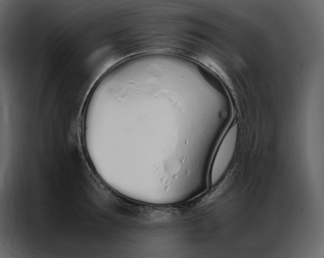 X0000086990899200705071434