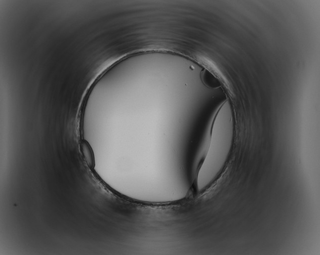 X0000086990900200705071434