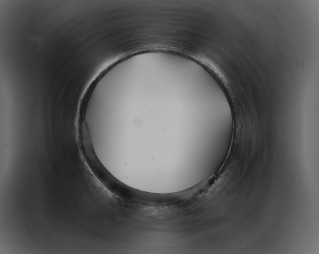 X0000086990902200705071434