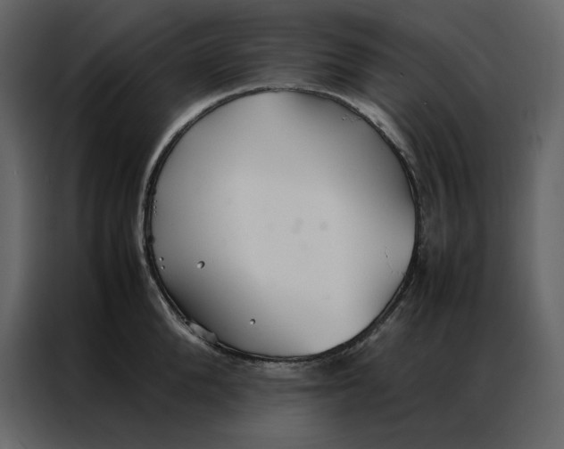 X0000086990904200705071434