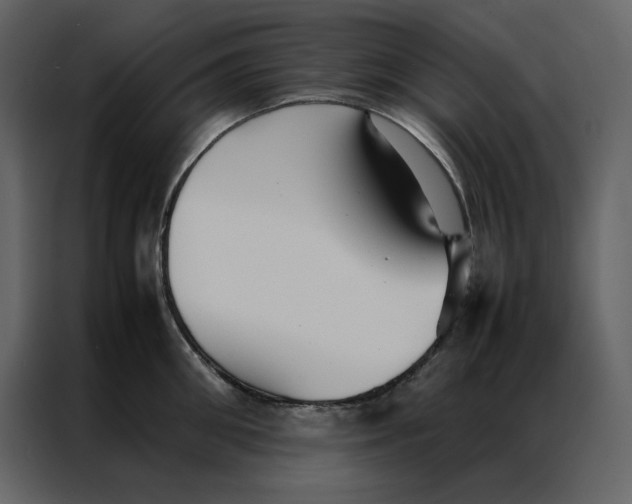 X0000086990906200705071434