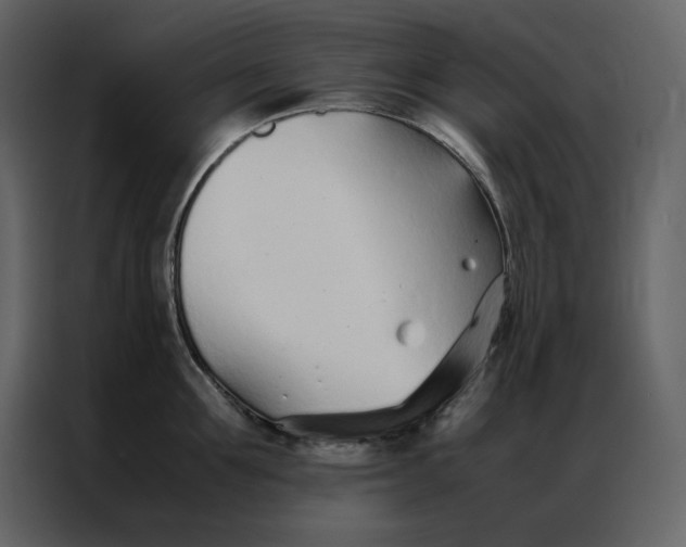 X0000086990907200705071434