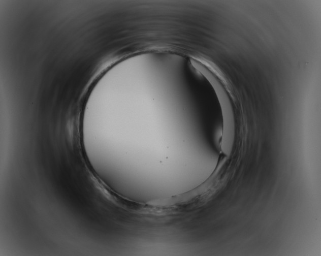 X0000086990910200705071434