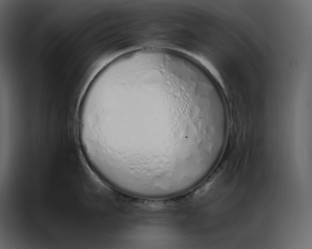 X0000086990911200705071434