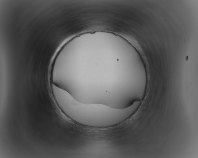 X0000086990912200705071434