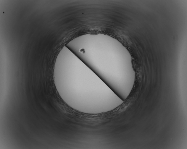 X0000086990916200705071433