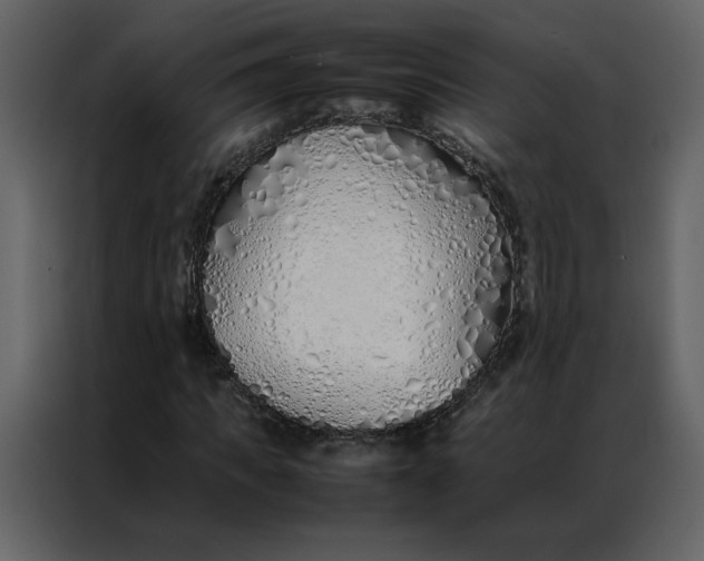 X0000086990917200705071433