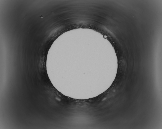 X0000086990918200705071433