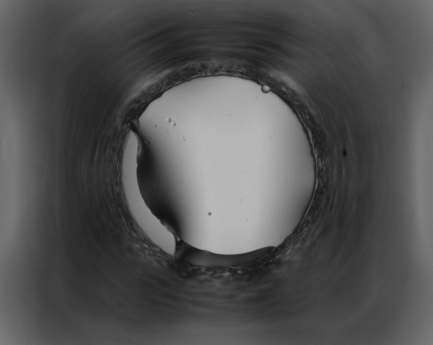 X0000086990919200705071433