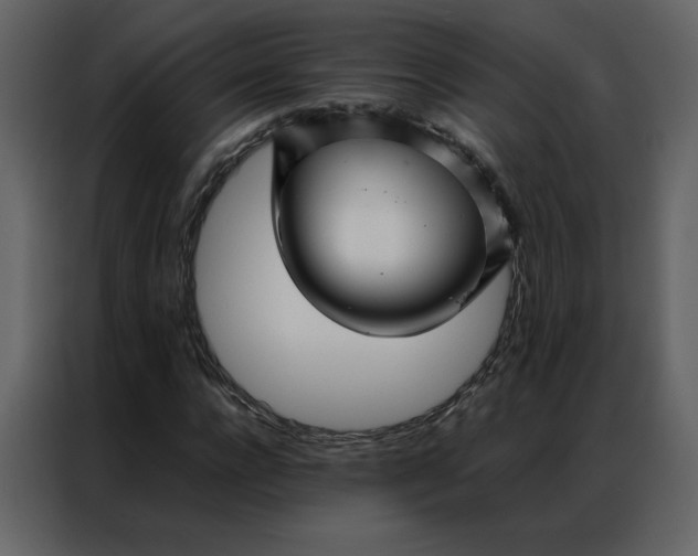 X0000086990920200705071433