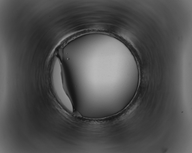 X0000086990923200705071433