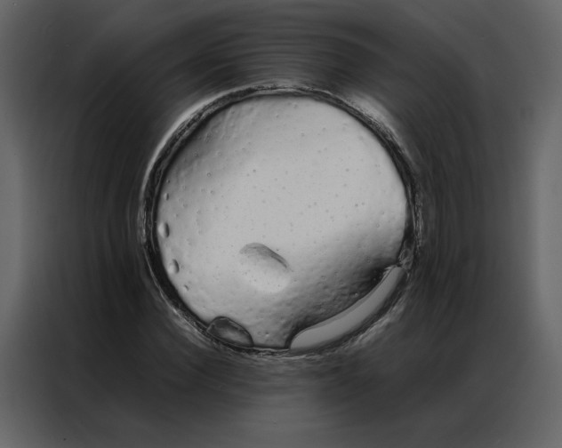 X0000086990924200705071433