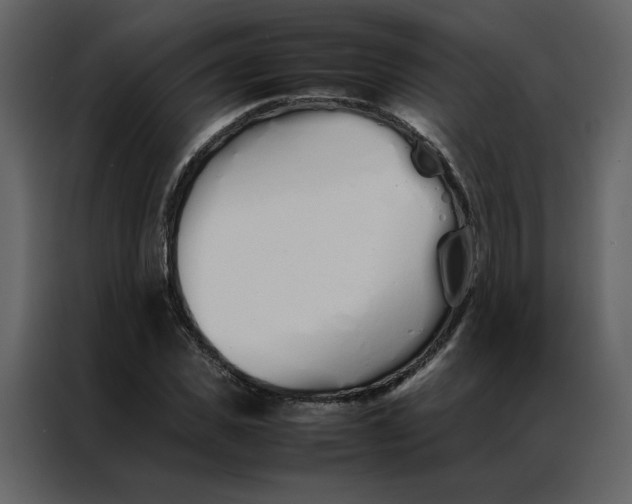 X0000086990925200705071433