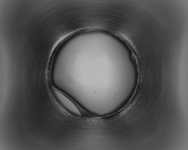 X0000086990928200705071433