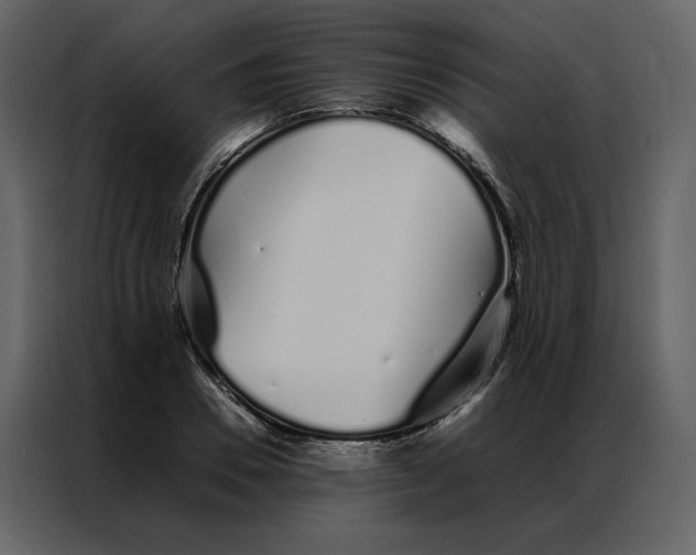 X0000086990930200705071434