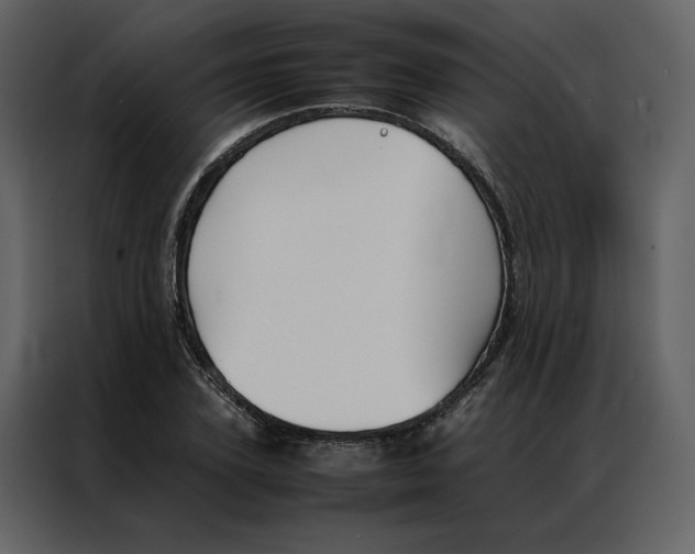 X0000086990931200705071434