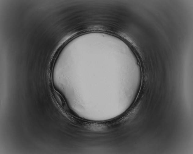 X0000086990933200705071434