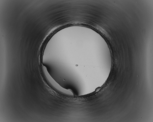 X0000086990934200705071434