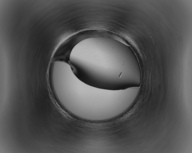 X0000086990936200705071434