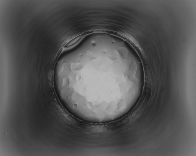 X0000086990937200705071434