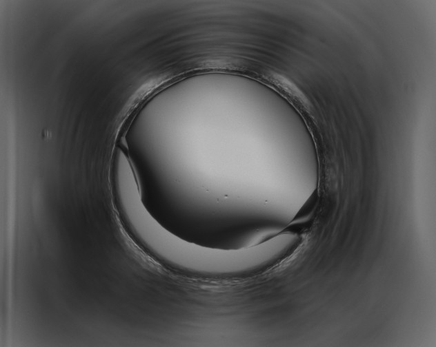 X0000086990938200705071434