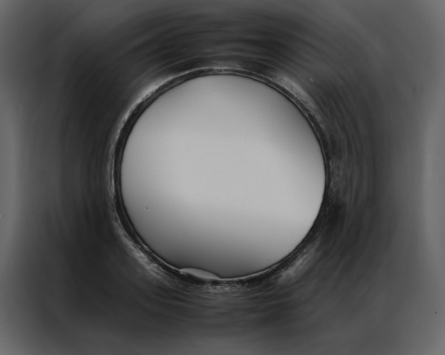 X0000086990939200705071434