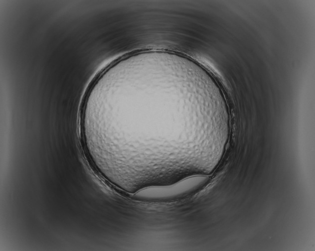 X0000086990940200705071434