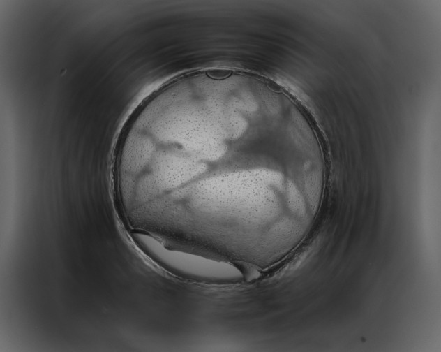 X0000086990941200705071434