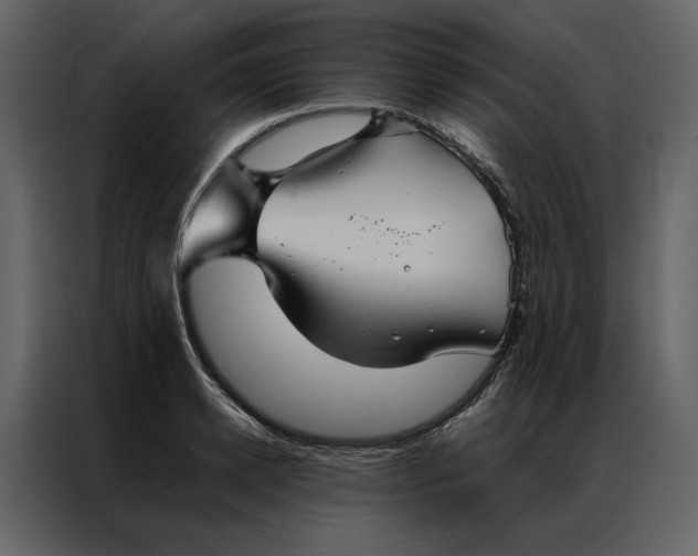 X0000086990942200705071434