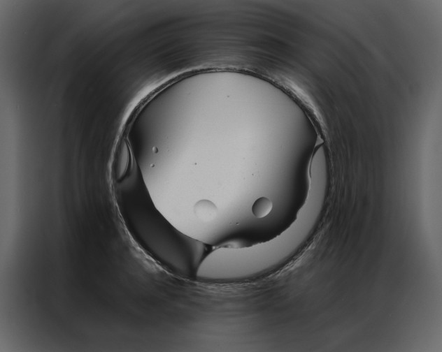 X0000086990944200705071434