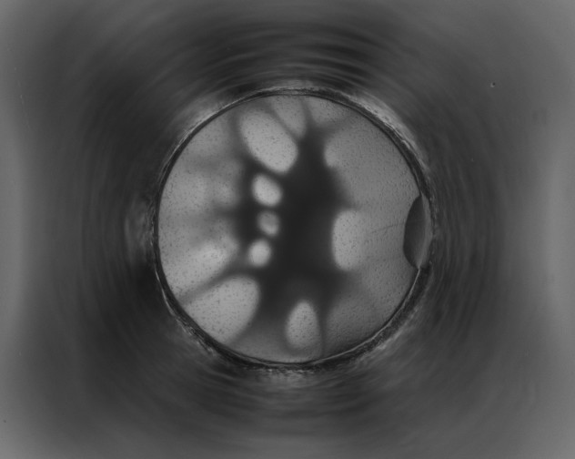 X0000086990945200705071434