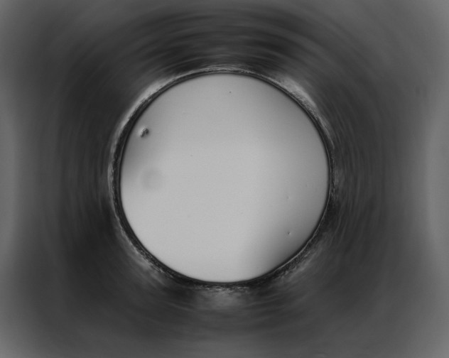 X0000086990947200705071434