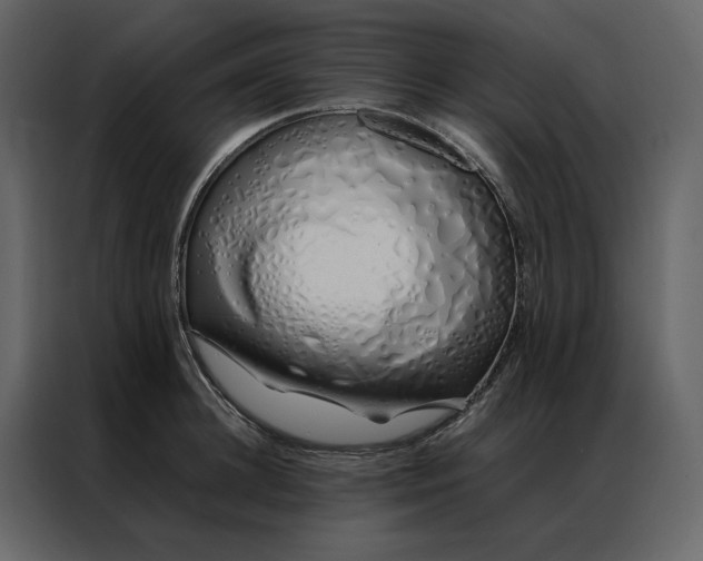 X0000086990948200705071434