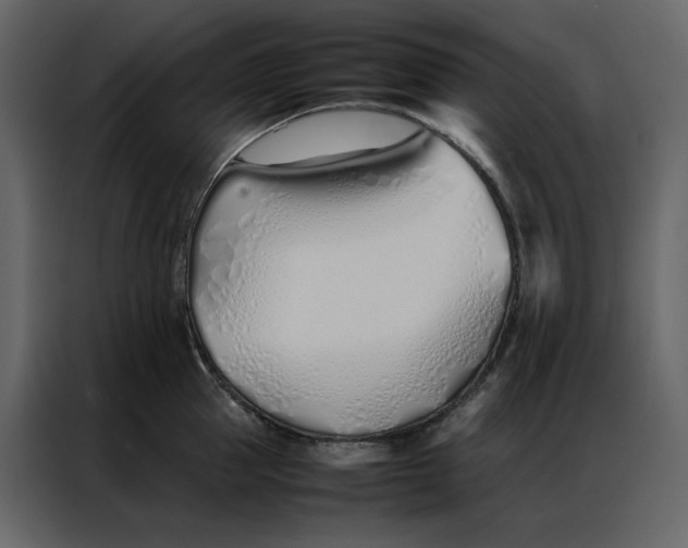 X0000086990953200705071434