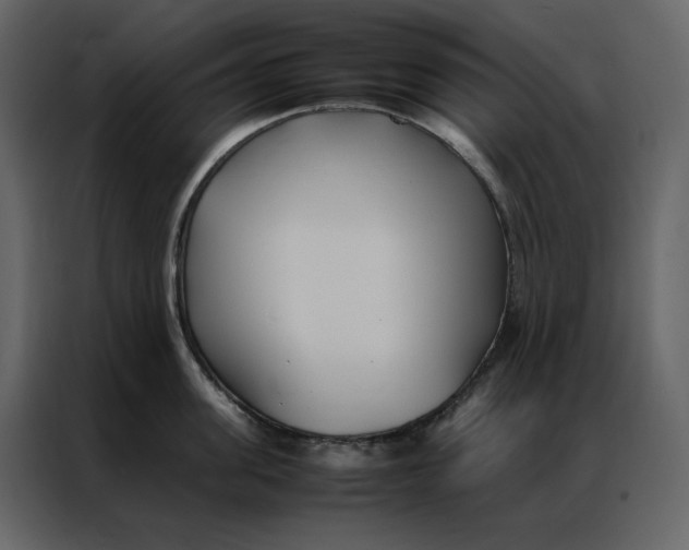 X0000086990955200705071434