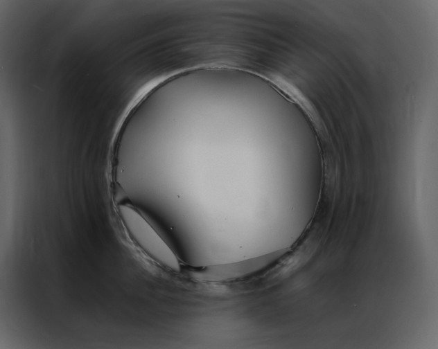 X0000086990956200705071434