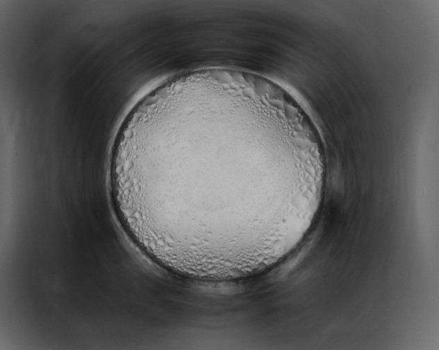 X0000086990957200705071434