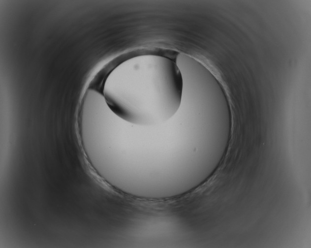 X0000086990960200705071434