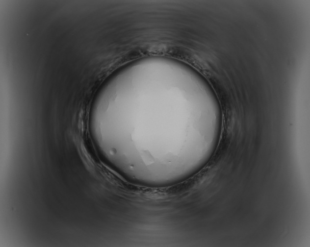 X0000086990962200705071433