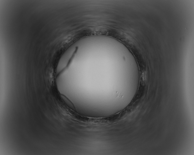 X0000086990963200705071433