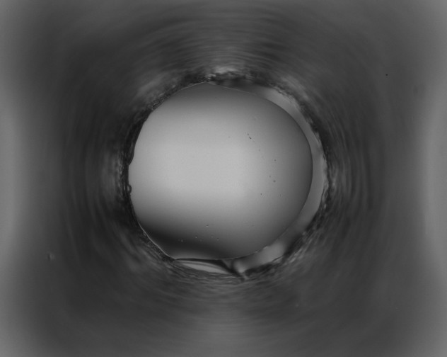 X0000086990964200705071433