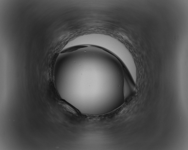 X0000086990965200705071433