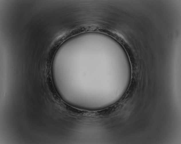 X0000086990967200705071433