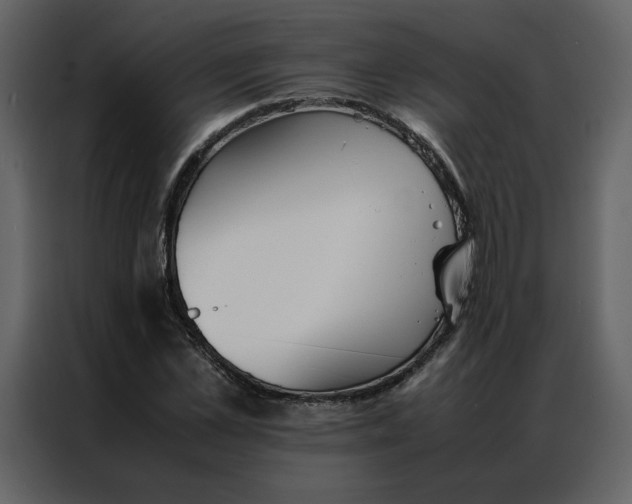 X0000086990973200705071433