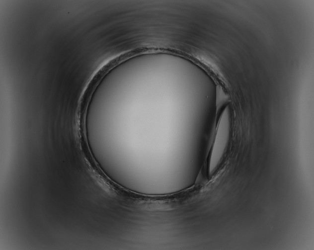 X0000086990976200705071433