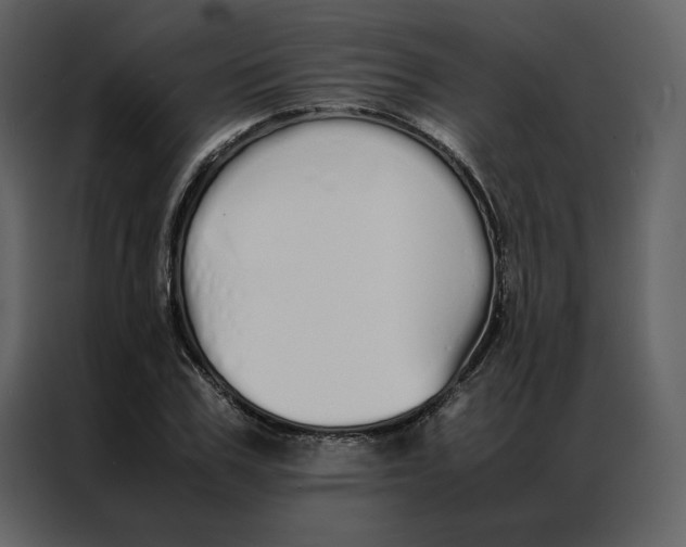 X0000086990979200705071433