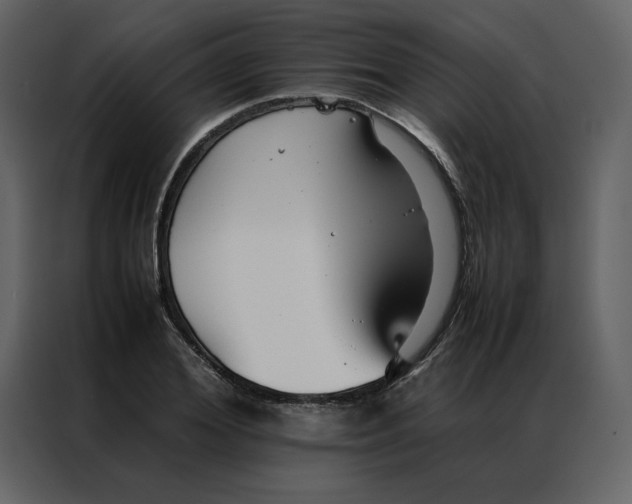 X0000086990980200705071433